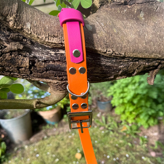Sunset Sorbet Waterproof Dog Collar