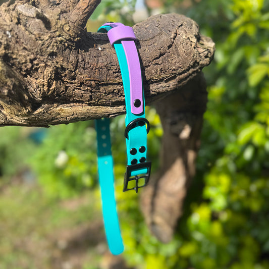 Violet Skies Waterproof Dog Collar