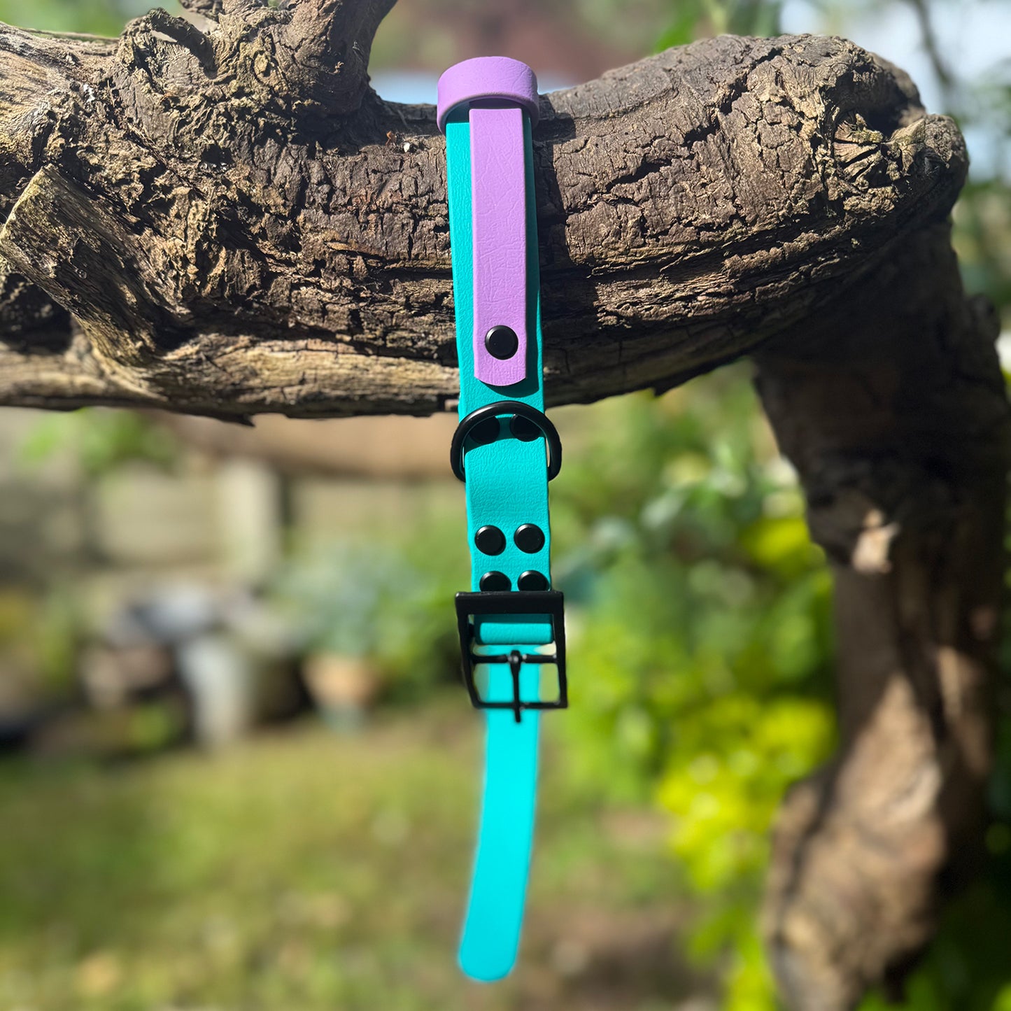 Violet Skies Waterproof Dog Collar