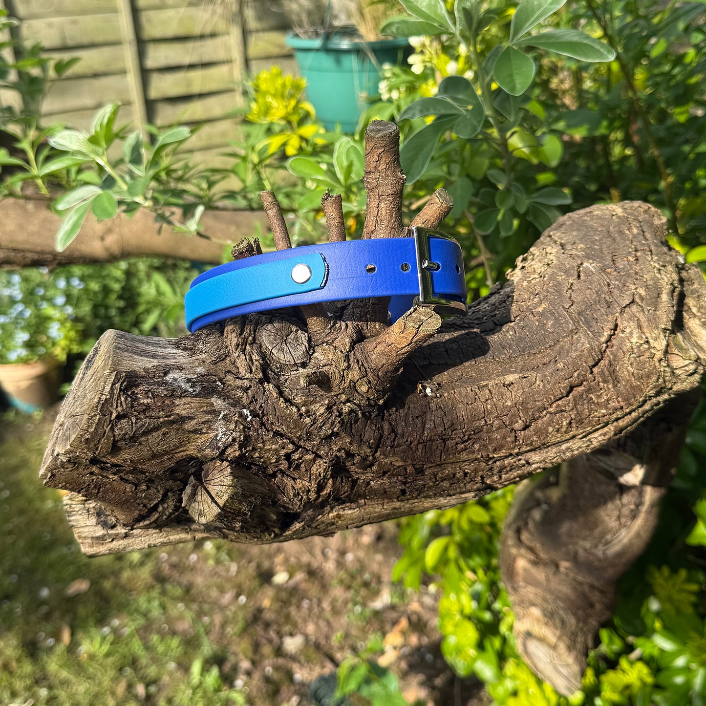 Sea Breeze Waterproof Dog Collar