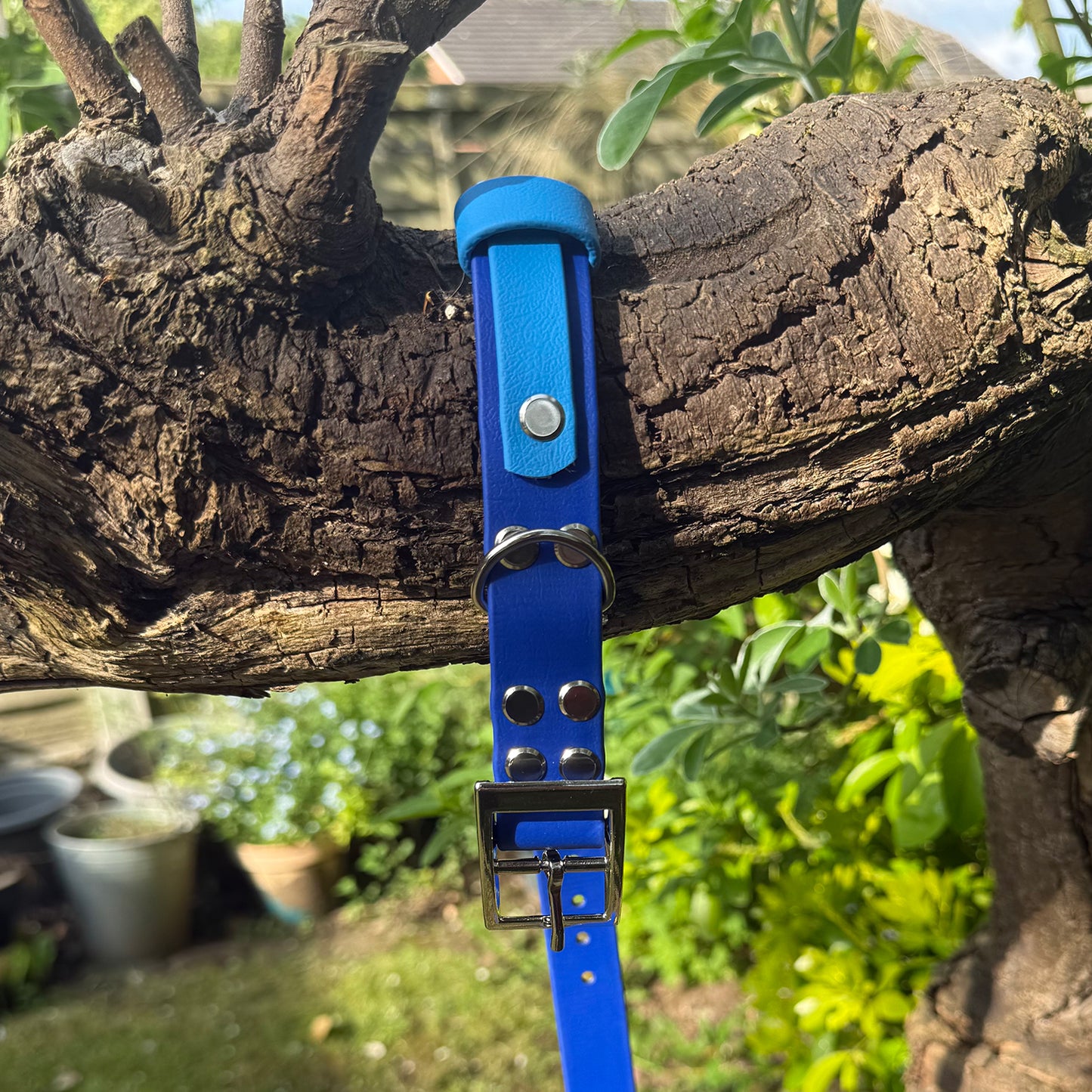 Sea Breeze Waterproof Dog Collar