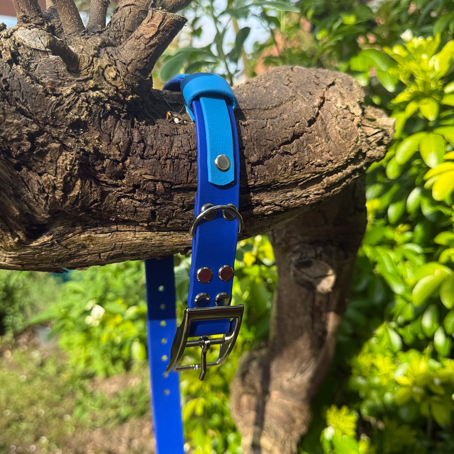 Sea Breeze Waterproof Dog Collar