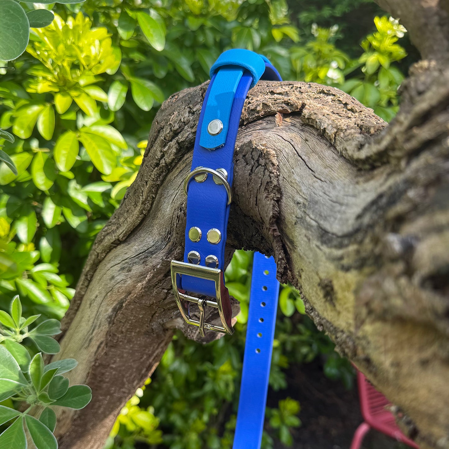 Sea Breeze Waterproof Dog Collar