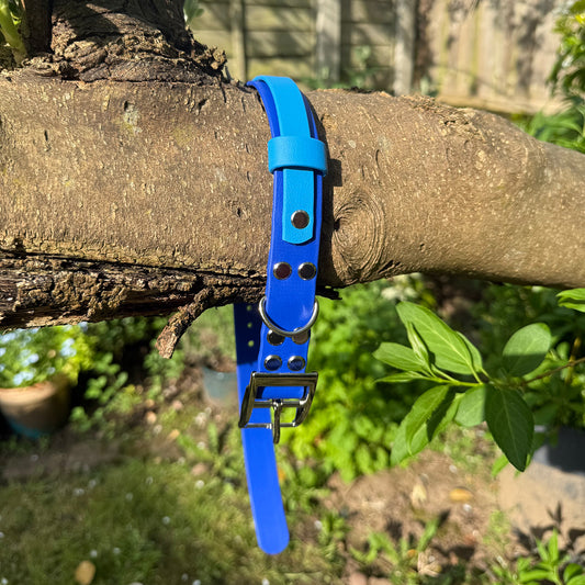 Sea Breeze Waterproof Dog Collar