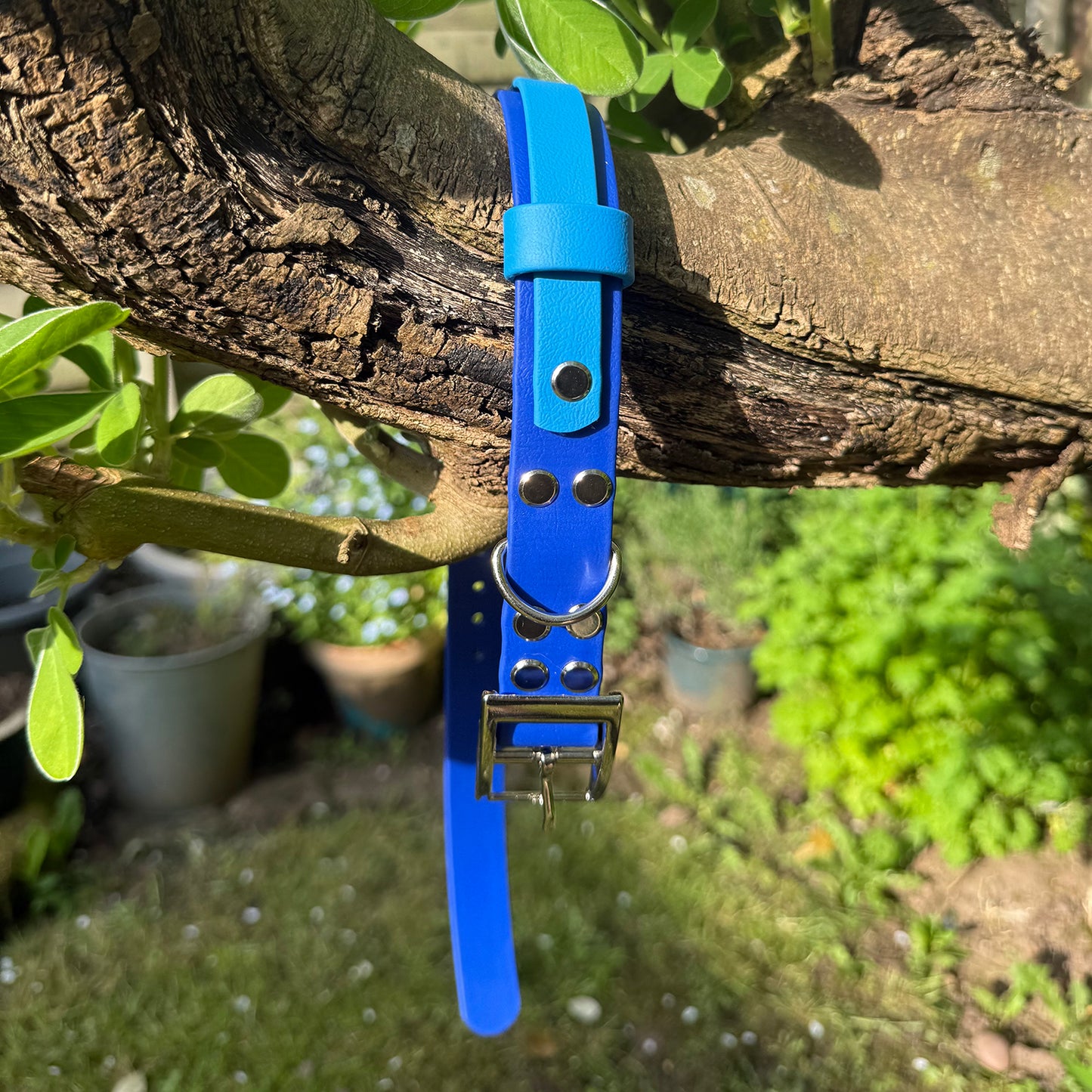 Sea Breeze Waterproof Dog Collar