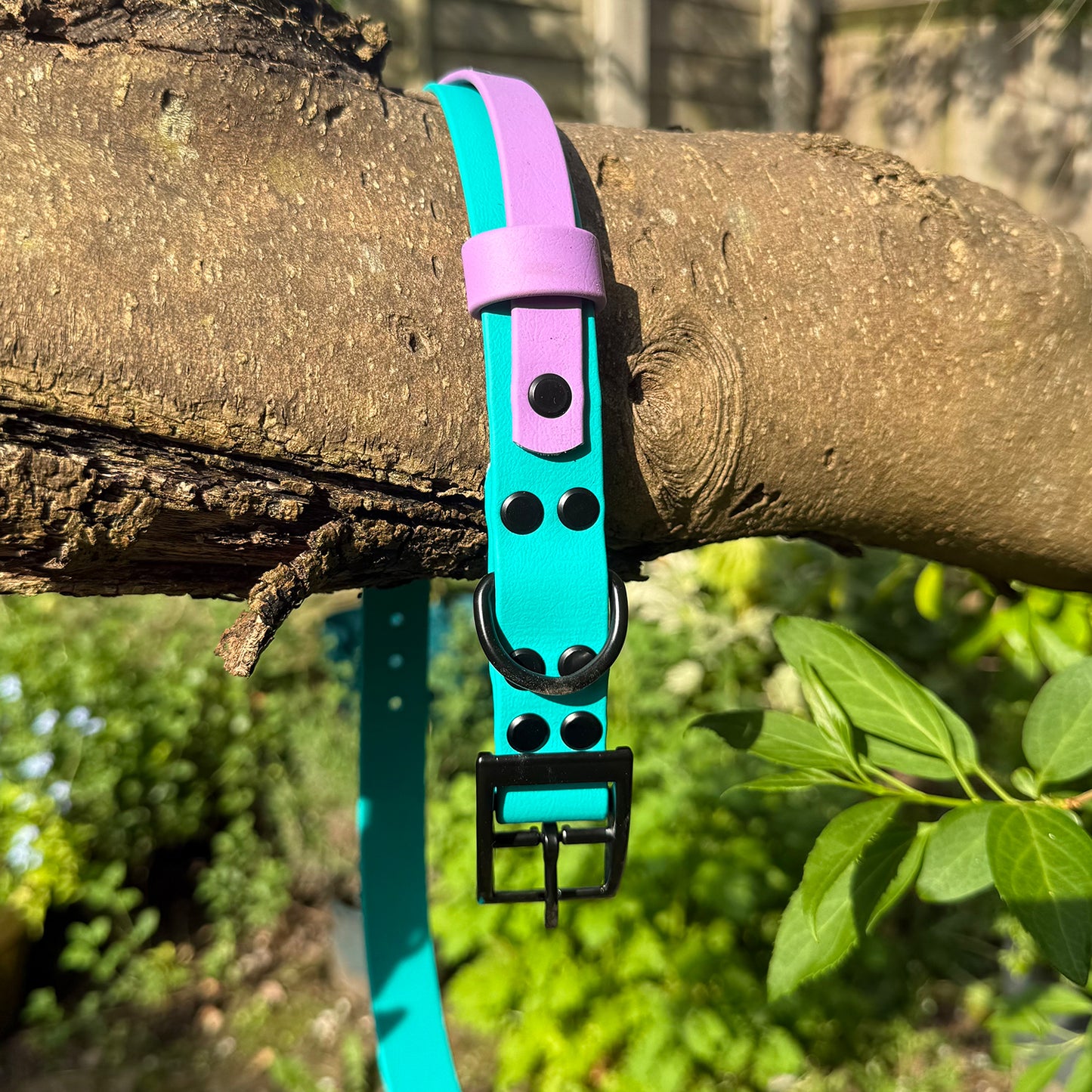 Violet Skies Waterproof Dog Collar