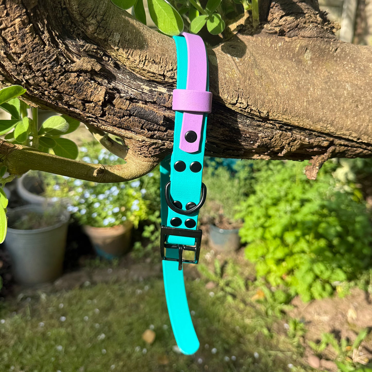 Violet Skies Waterproof Dog Collar