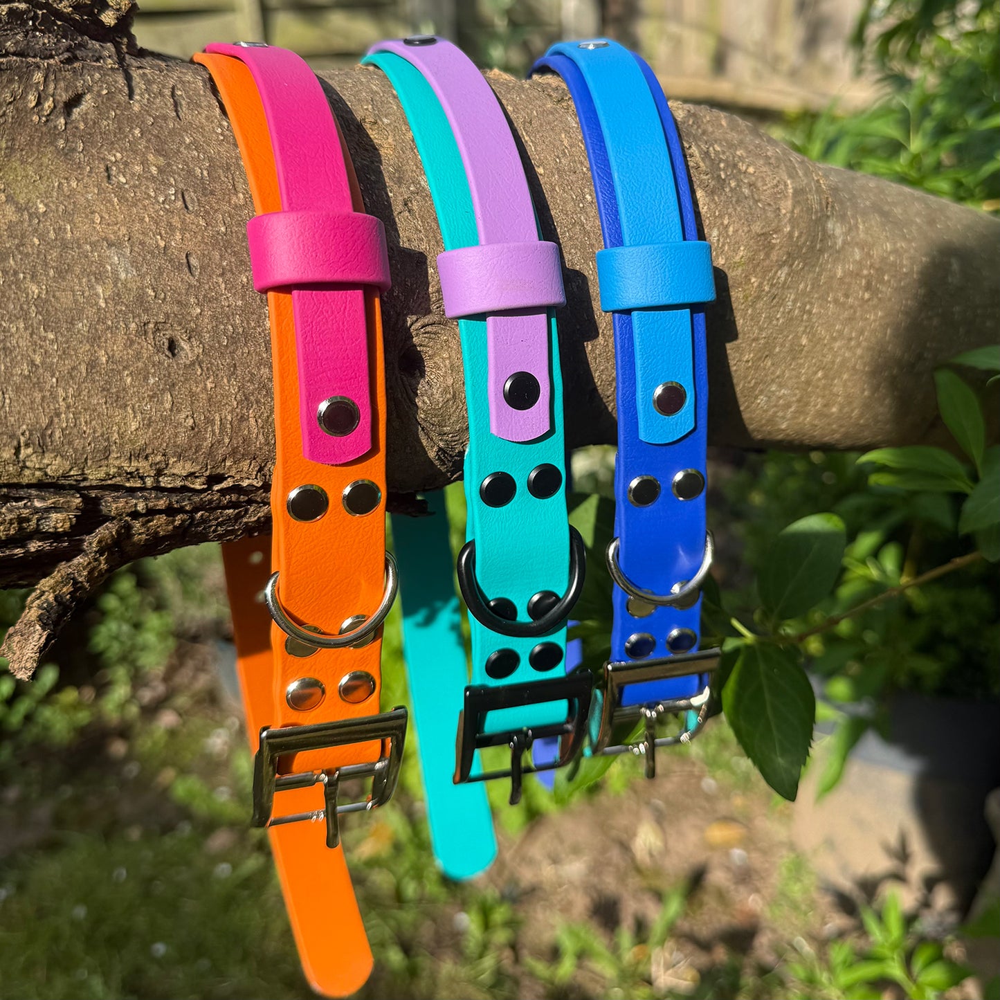 Violet Skies Waterproof Dog Collar