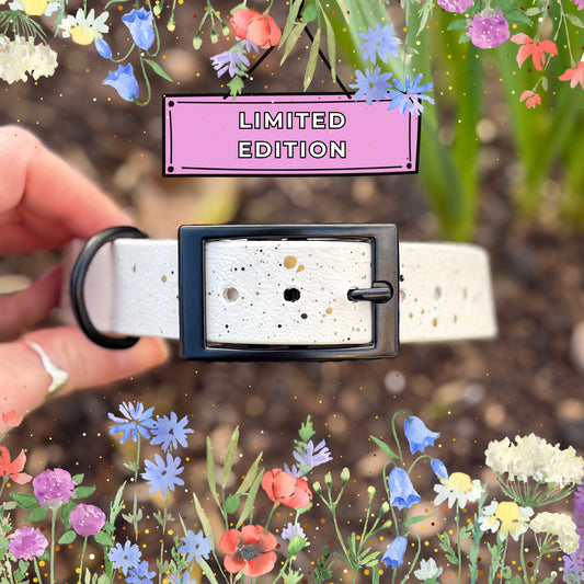 Limited edition Spring Frost Dog Collar ✨💛
