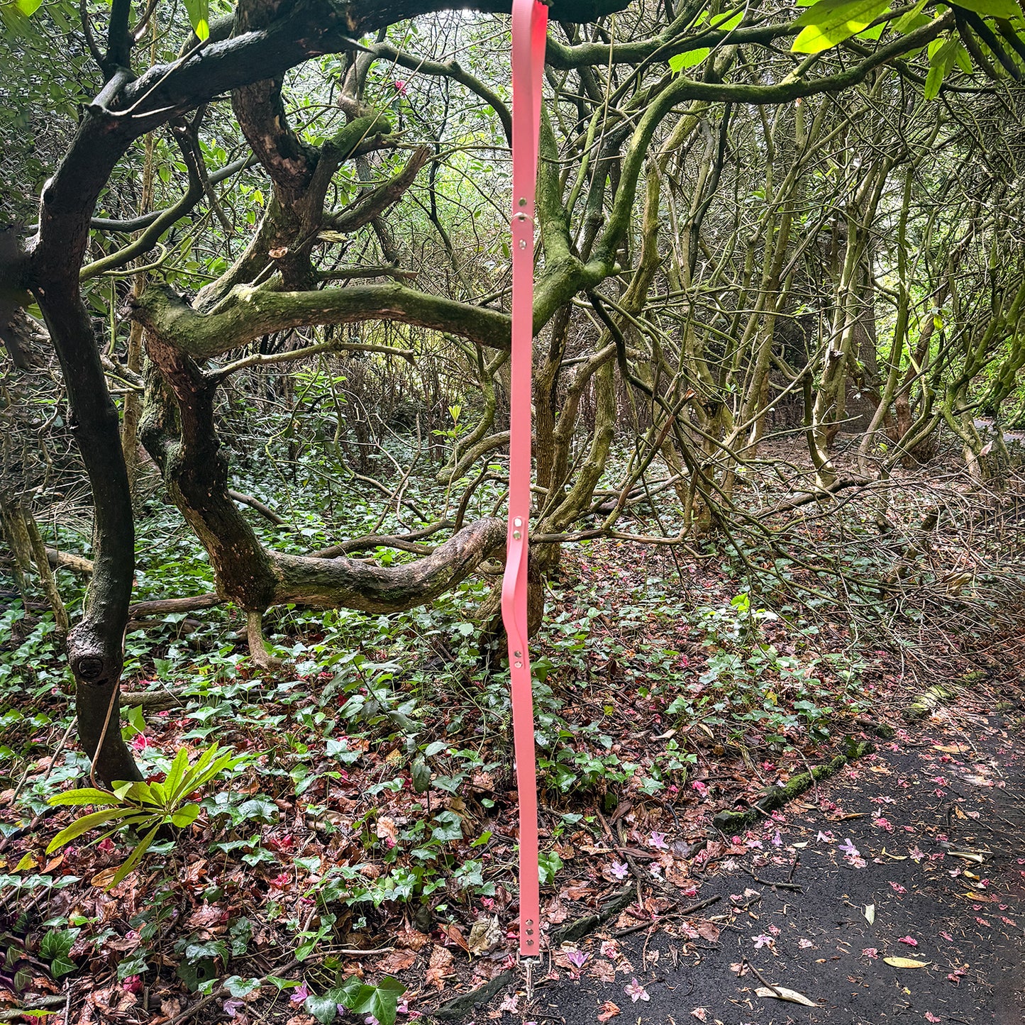 Barbie Pink Waterproof Lead