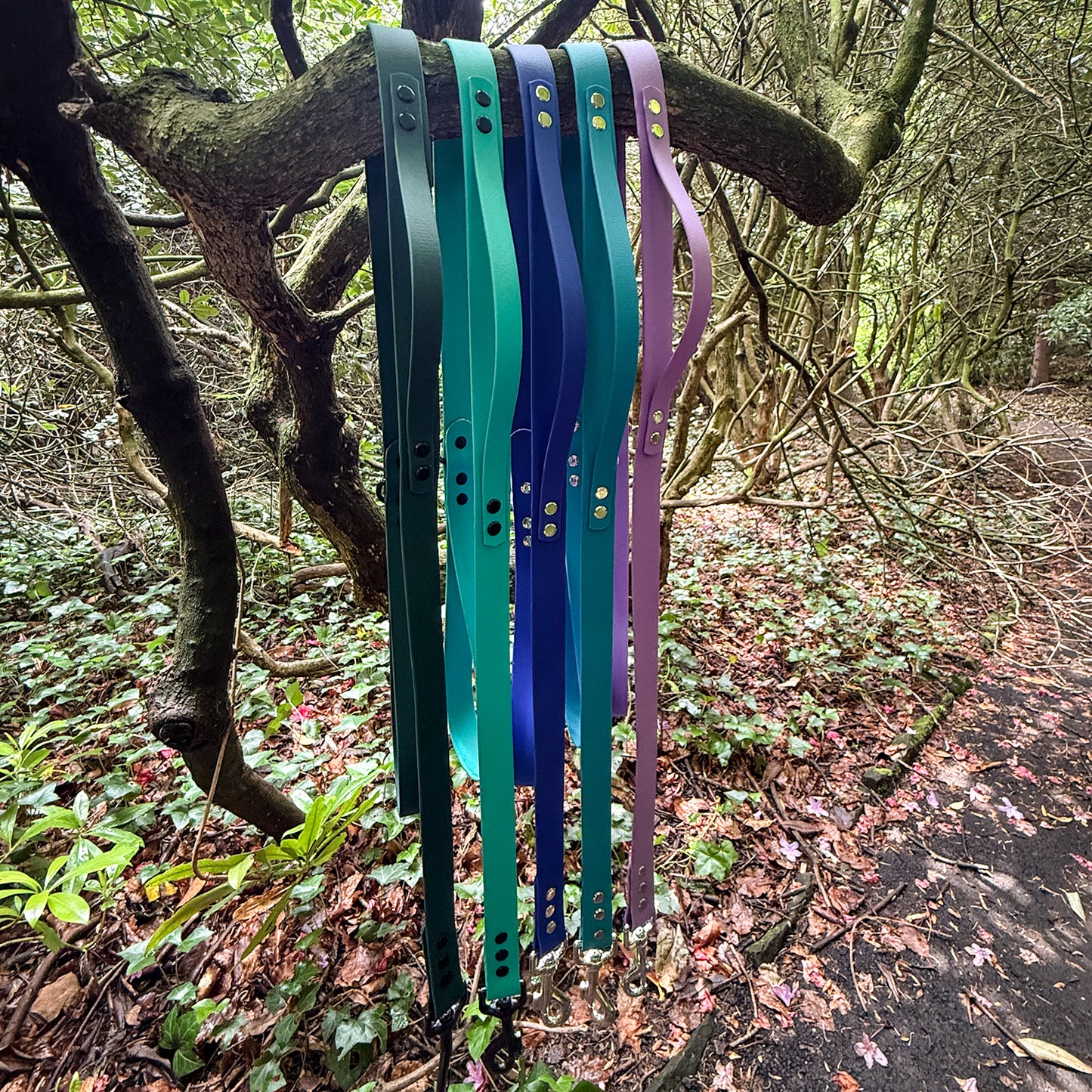 Customisable BioThane Lead 🐶