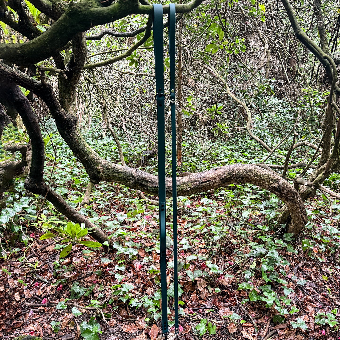 Forest Green Waterproof Lead