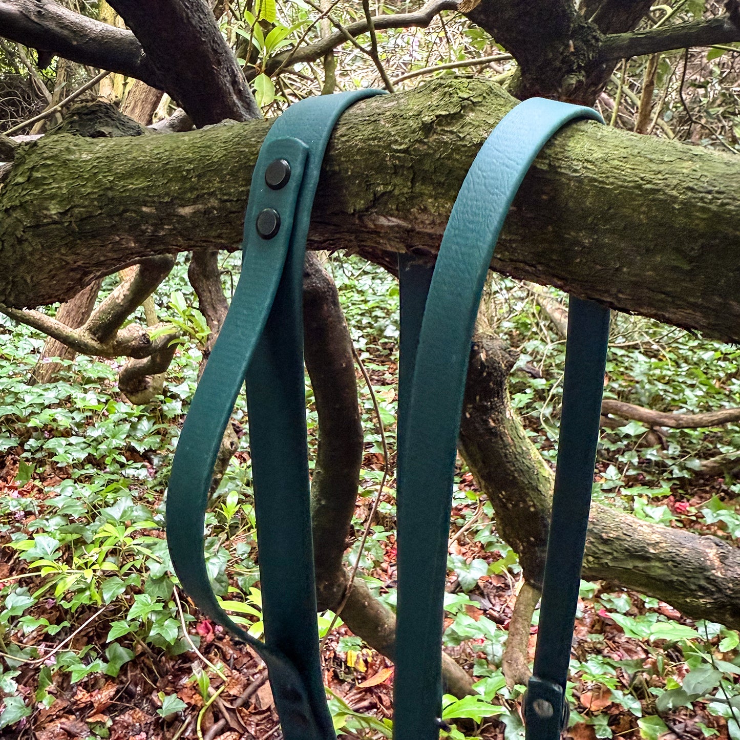 Forest Green Waterproof Lead