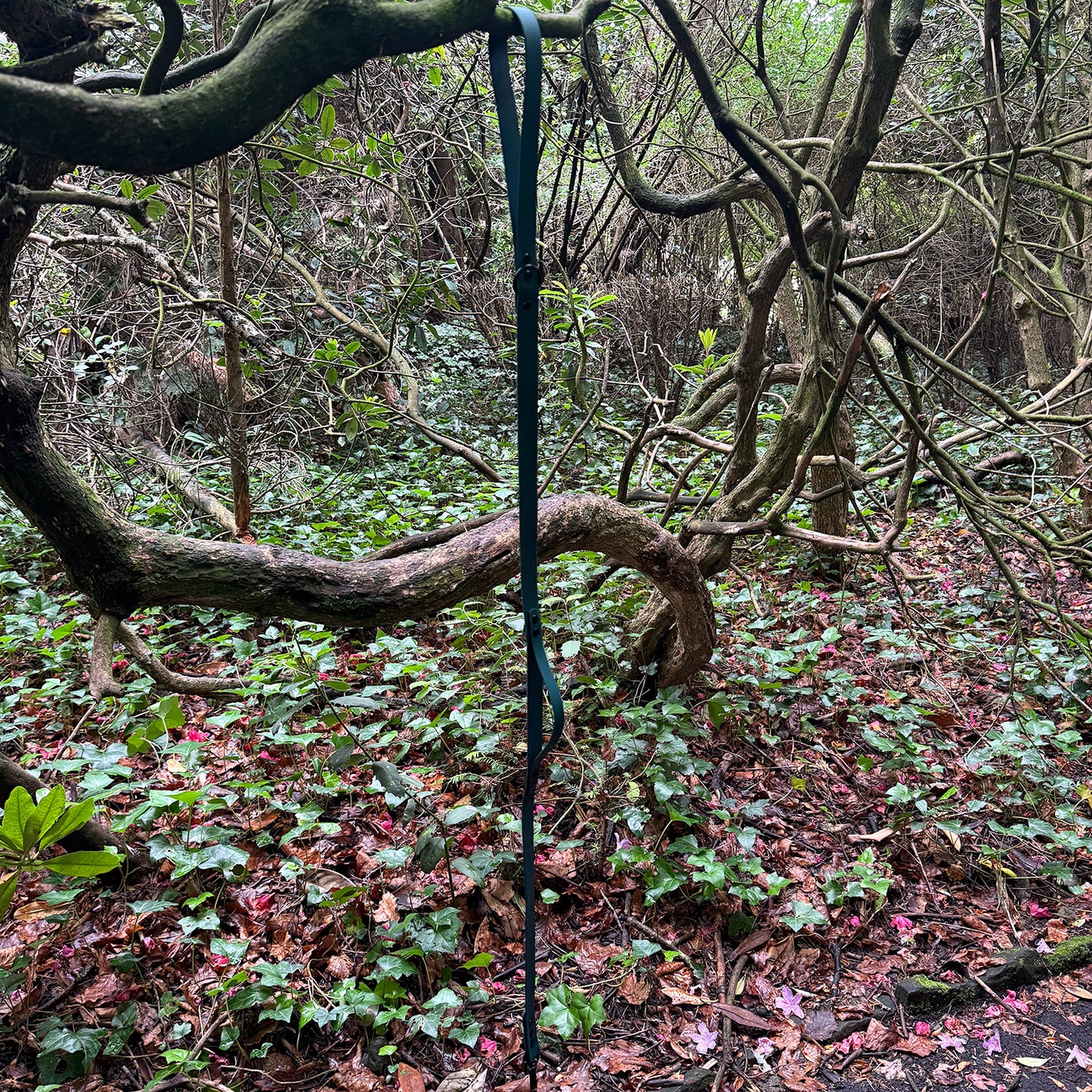 Forest Green Waterproof Lead