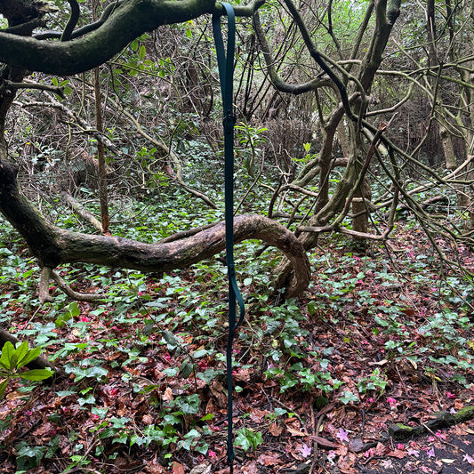 Forest Green Waterproof Lead