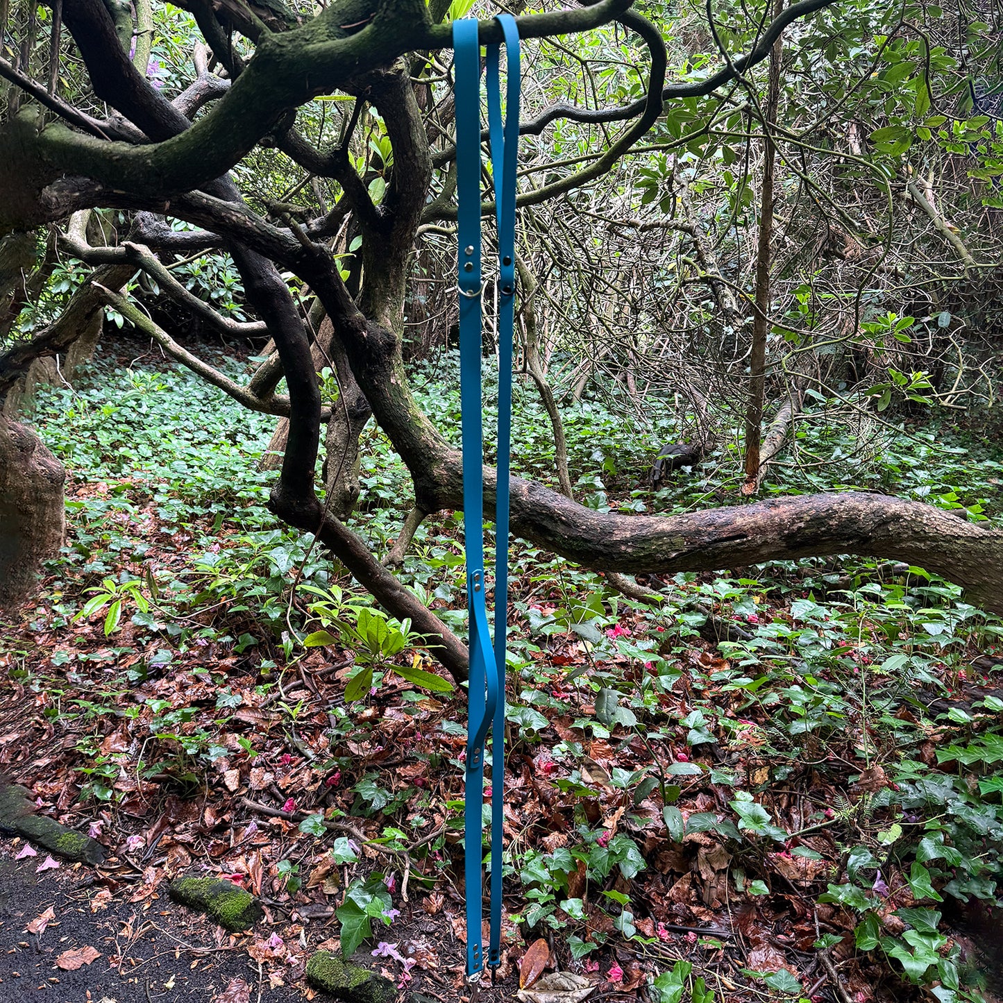 Kingfisher Blue Waterproof Lead