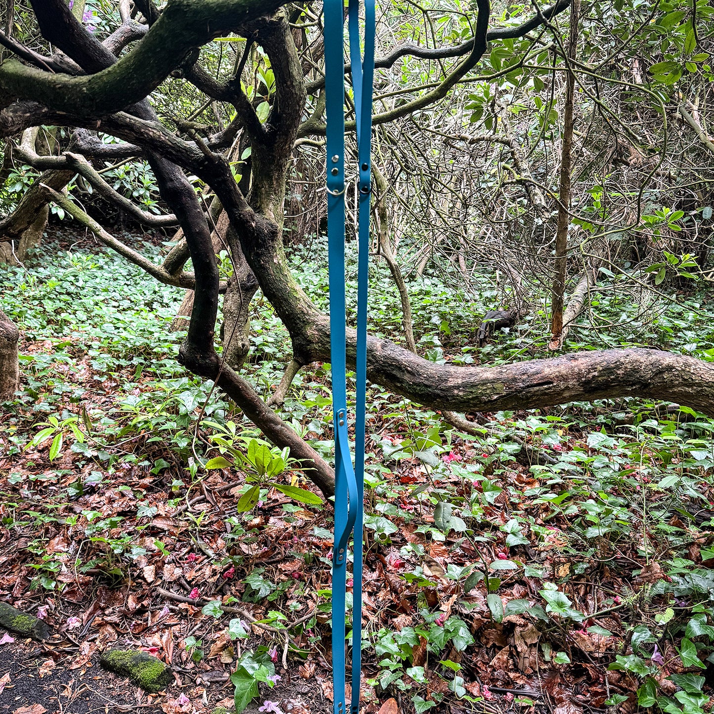 Kingfisher Blue Waterproof Lead