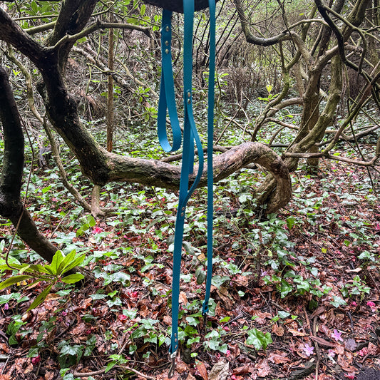 Kingfisher Blue Waterproof Lead