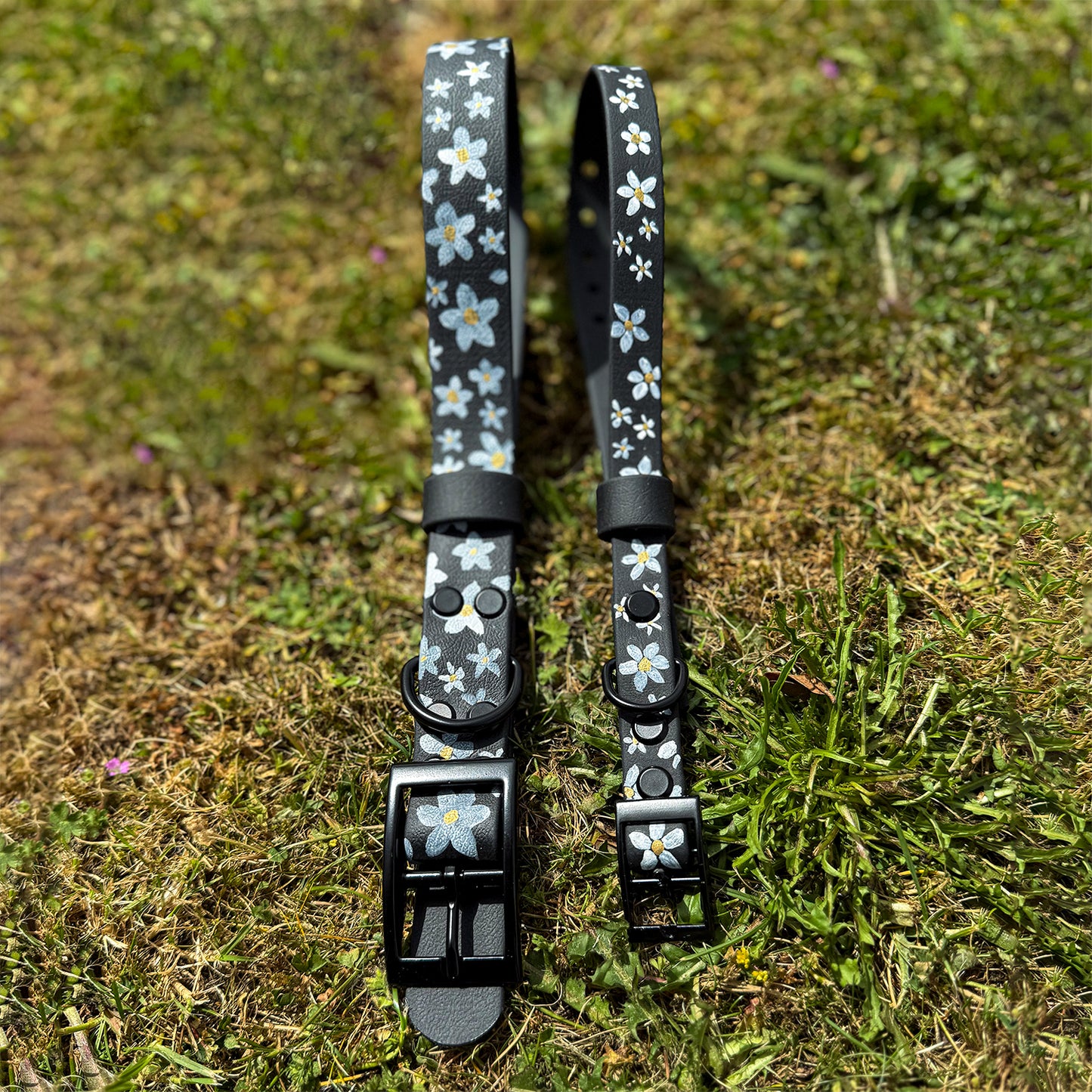 Daisy Hand-painted Waterproof Dog Collar