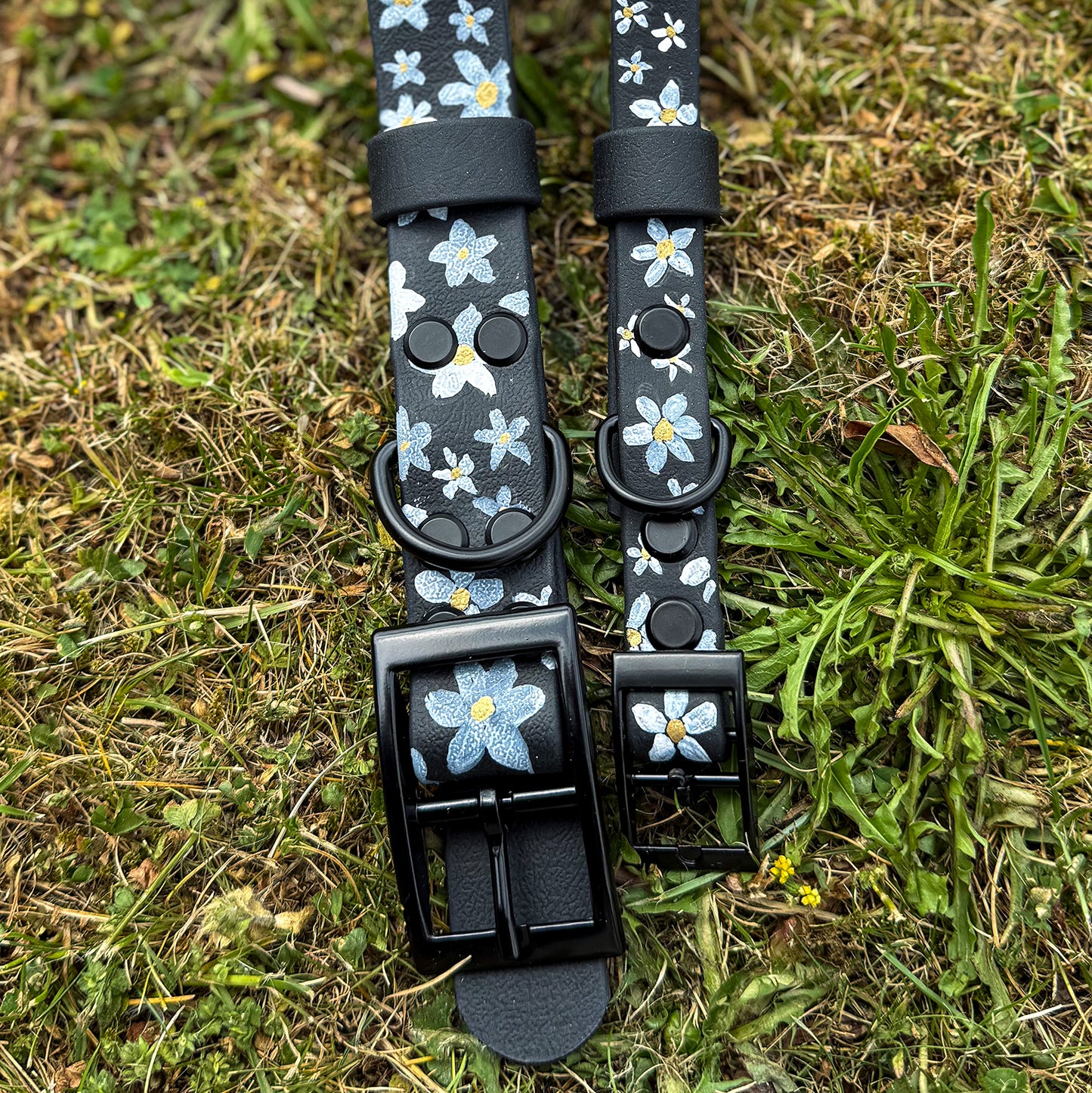 Daisy Hand-painted Waterproof Dog Collar
