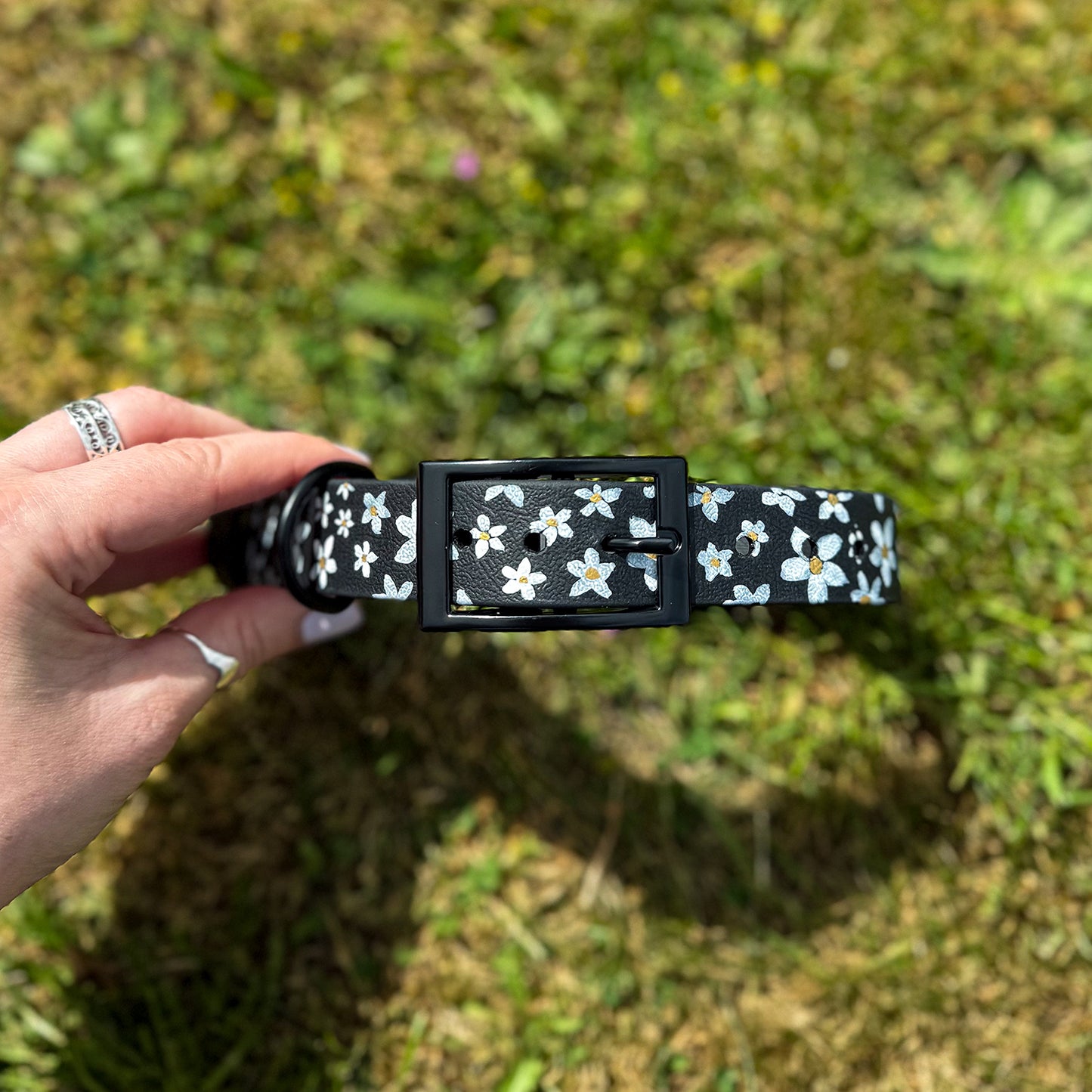 Daisy Hand-painted Waterproof Dog Collar