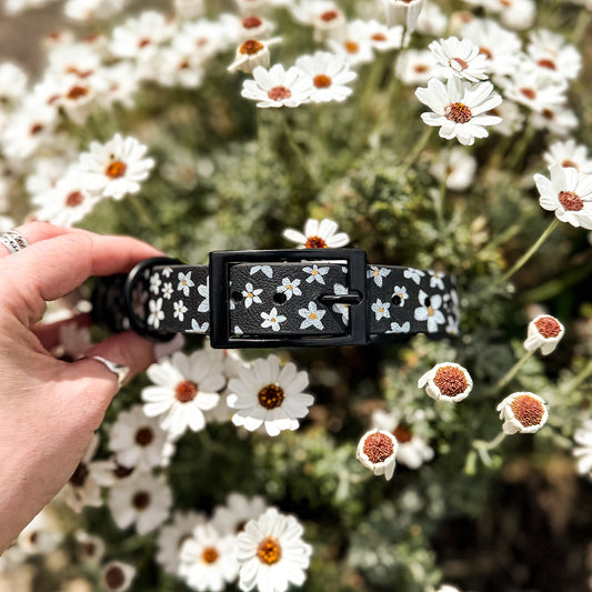 Daisy Hand-painted Waterproof Dog Collar