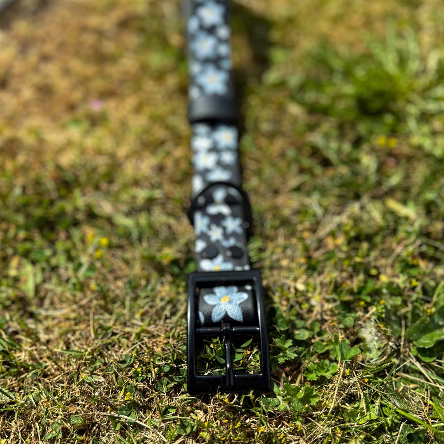 Daisy Hand-painted Waterproof Dog Collar