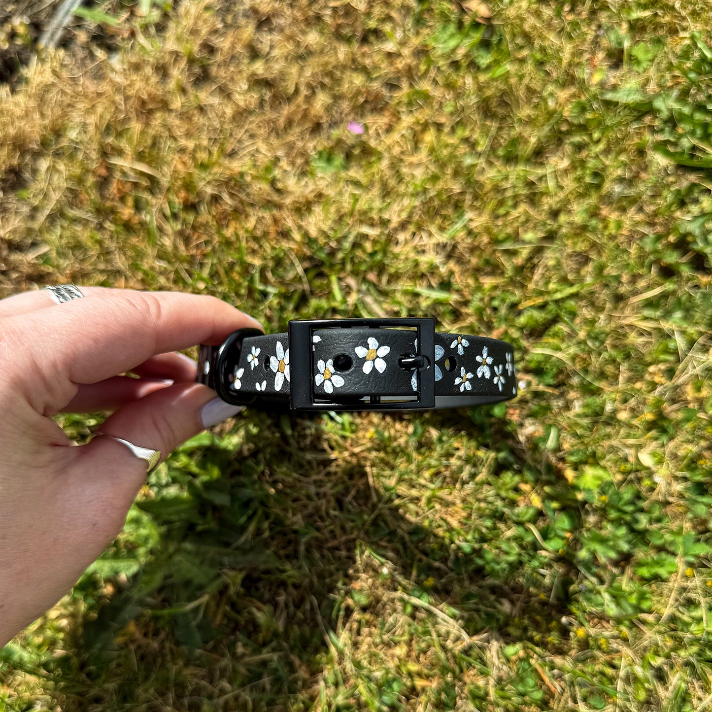 Daisy Hand-painted Waterproof Dog Collar