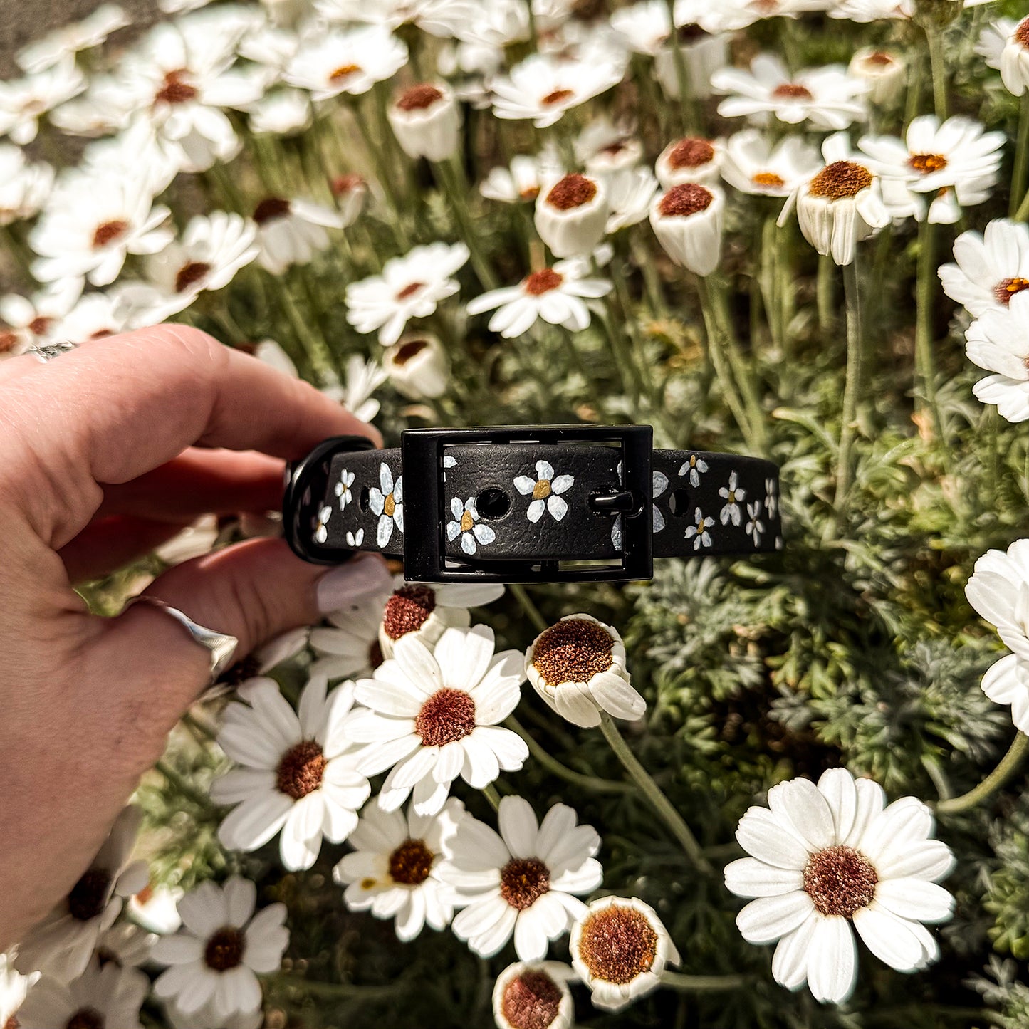 Daisy Hand-painted Waterproof Dog Collar