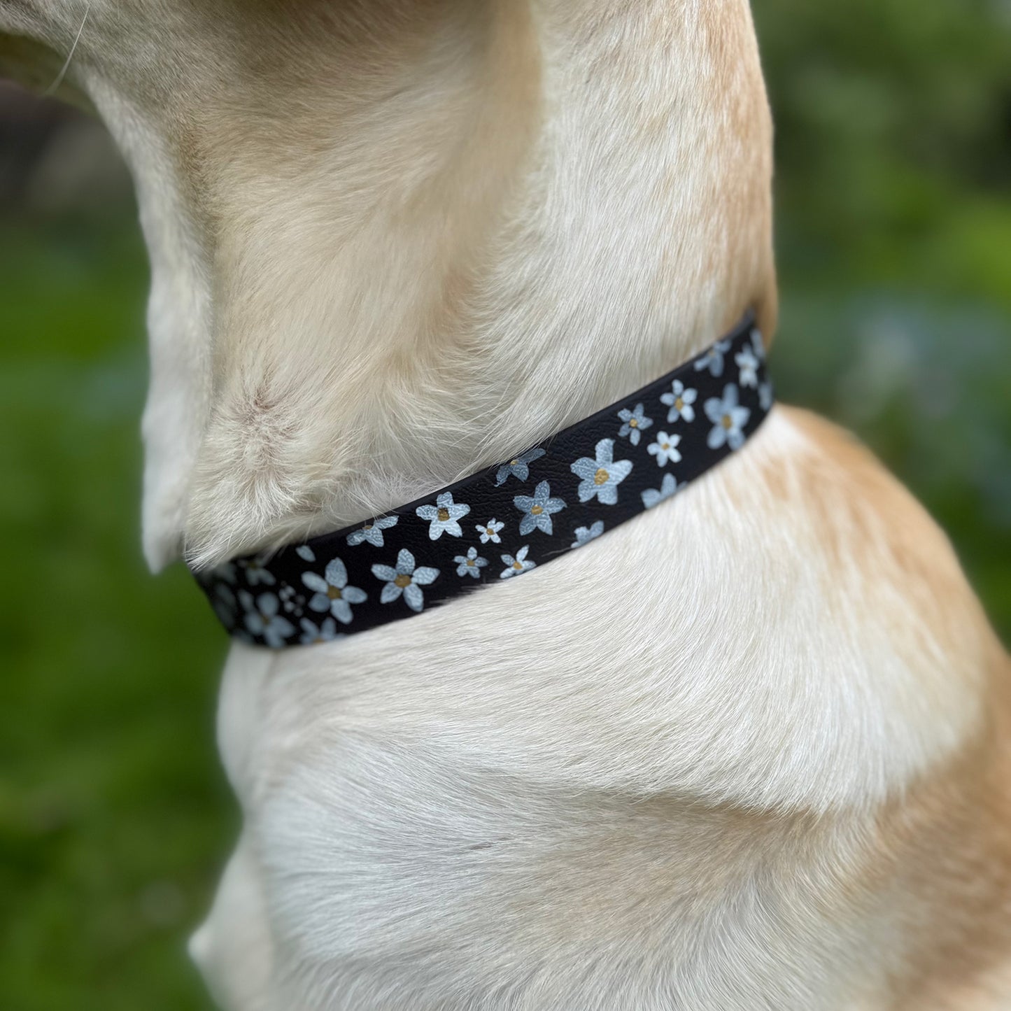 Daisy Hand-painted Waterproof Dog Collar