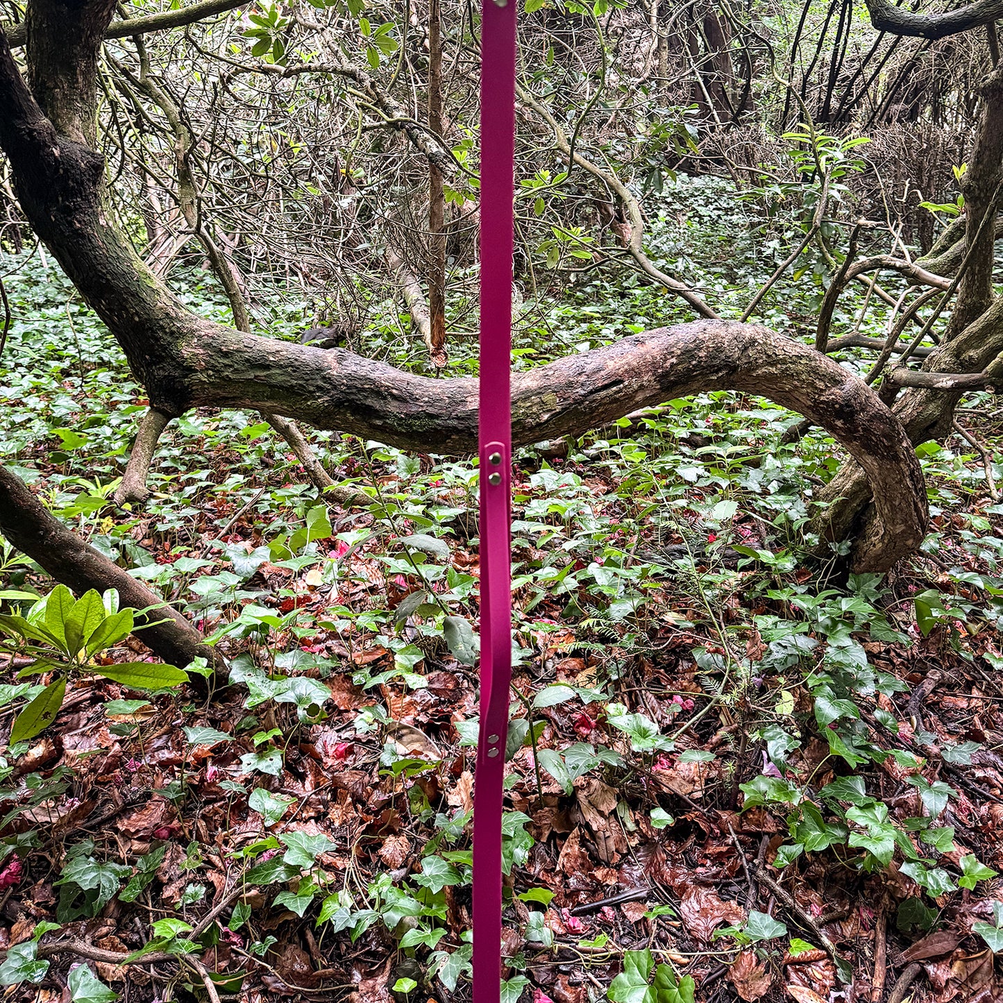 Magenta Pink Waterproof Lead