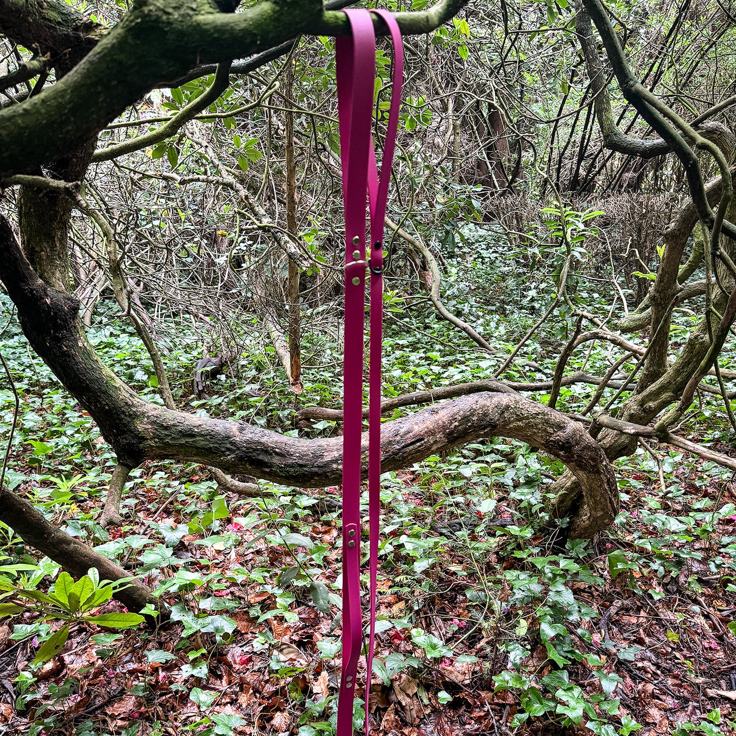 Magenta Pink Waterproof Lead