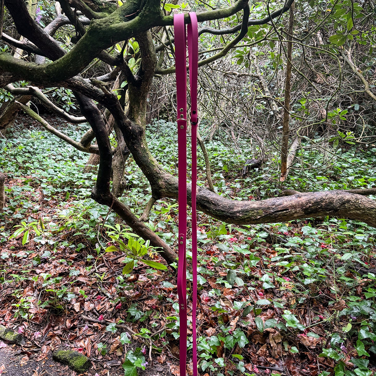 Magenta Pink Waterproof Lead
