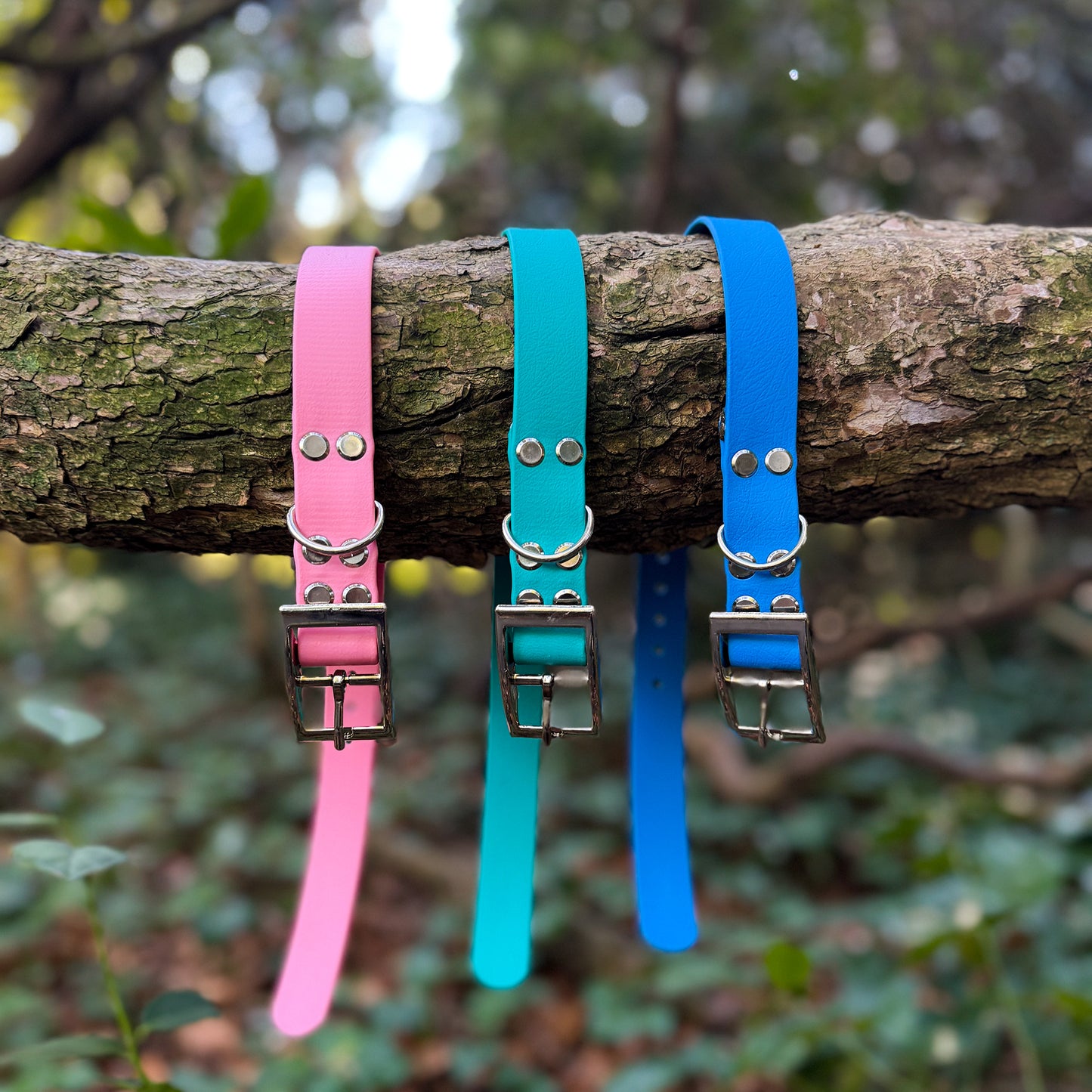 Bold Blue Waterproof Dog Collar š¦š©µ