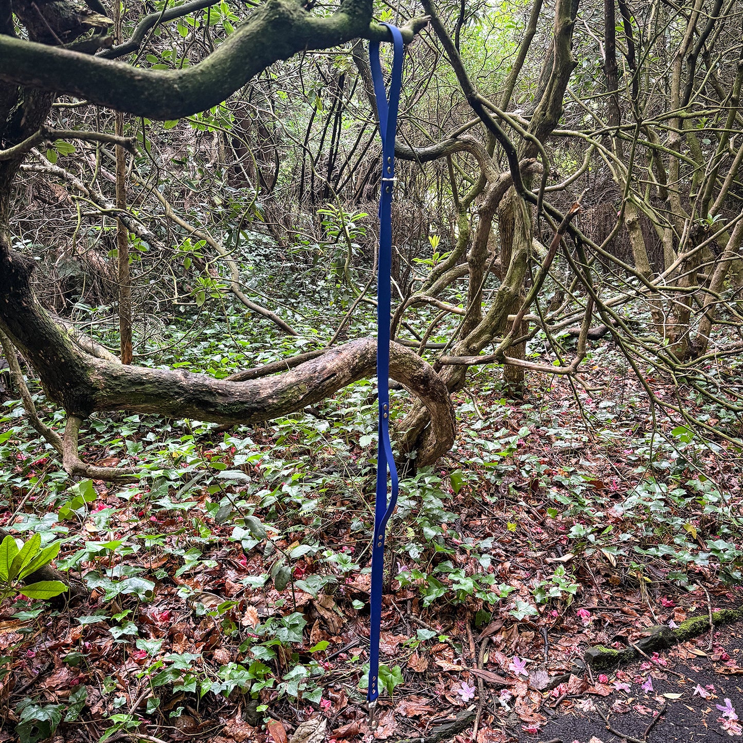 Ocean Blue Waterproof Lead