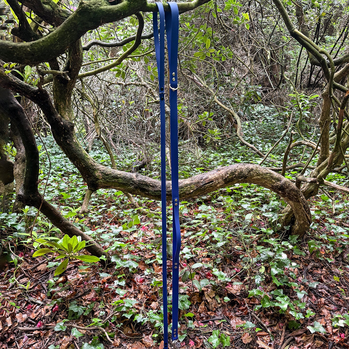 Ocean Blue Waterproof Lead