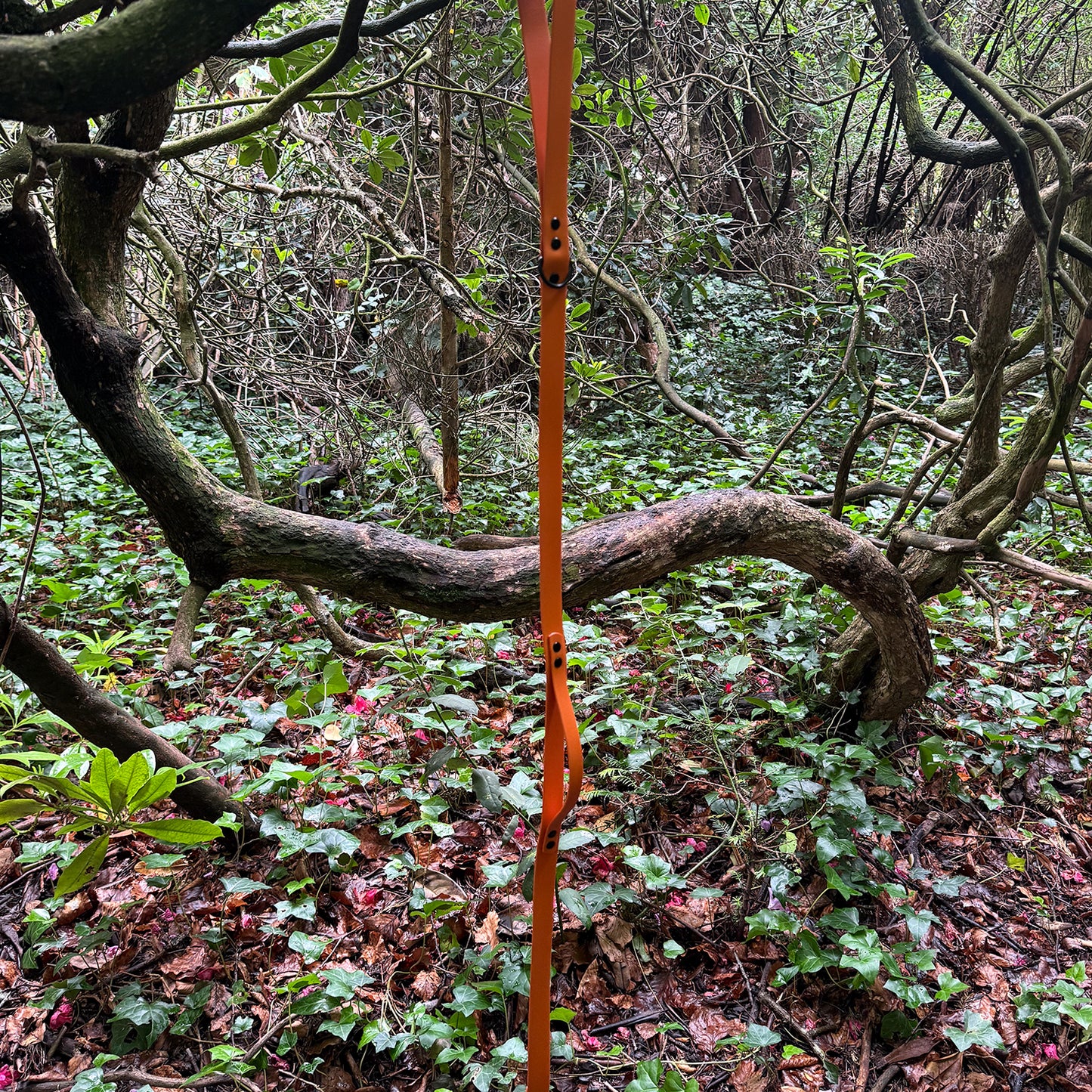 Fire Orange Waterproof Lead