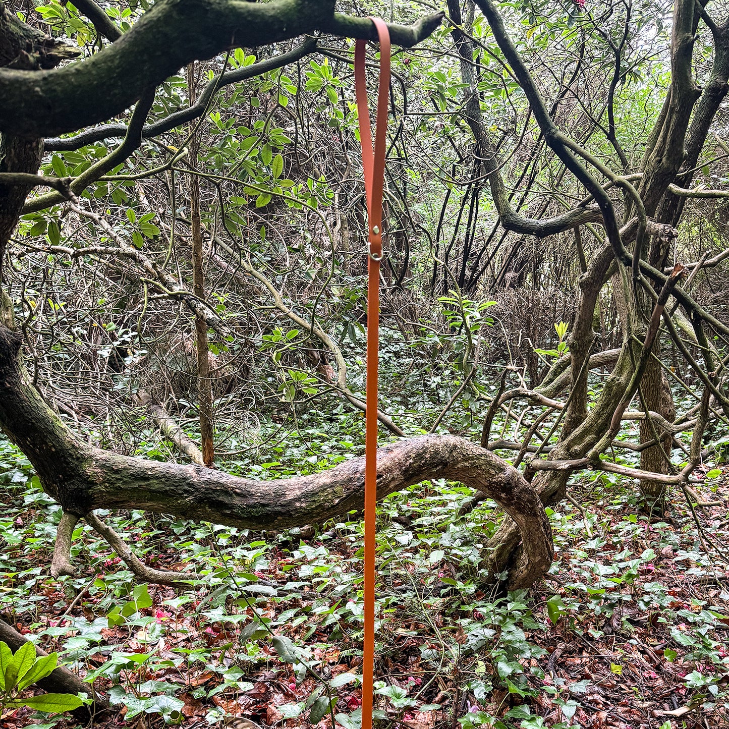 Fire Orange Waterproof Lead