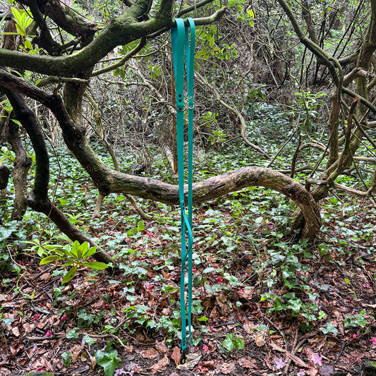 Teal Waterproof Lead