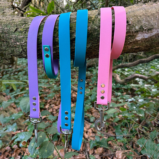 Customisable BioThane Lead 🐶