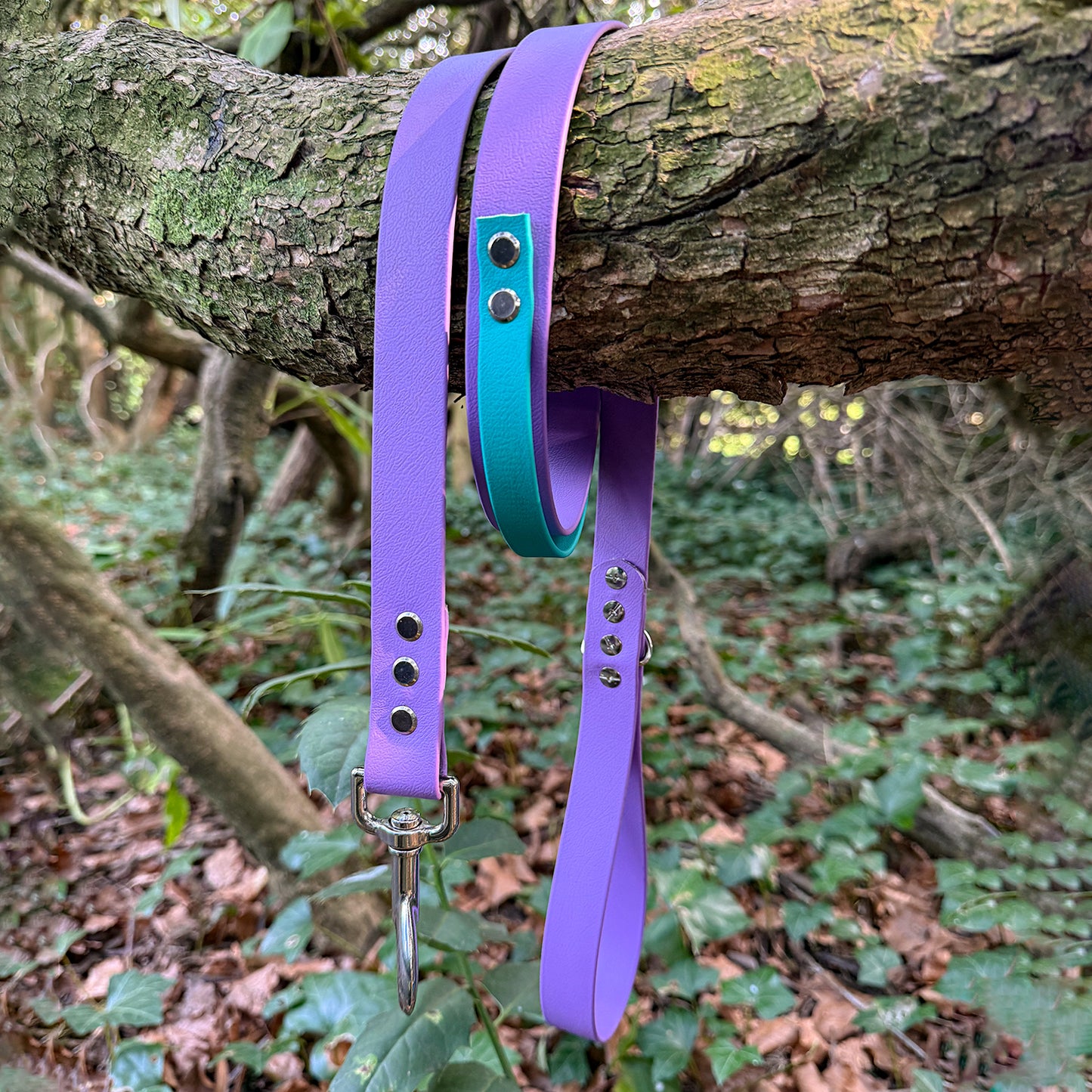 Customisable BioThane Lead 🐶