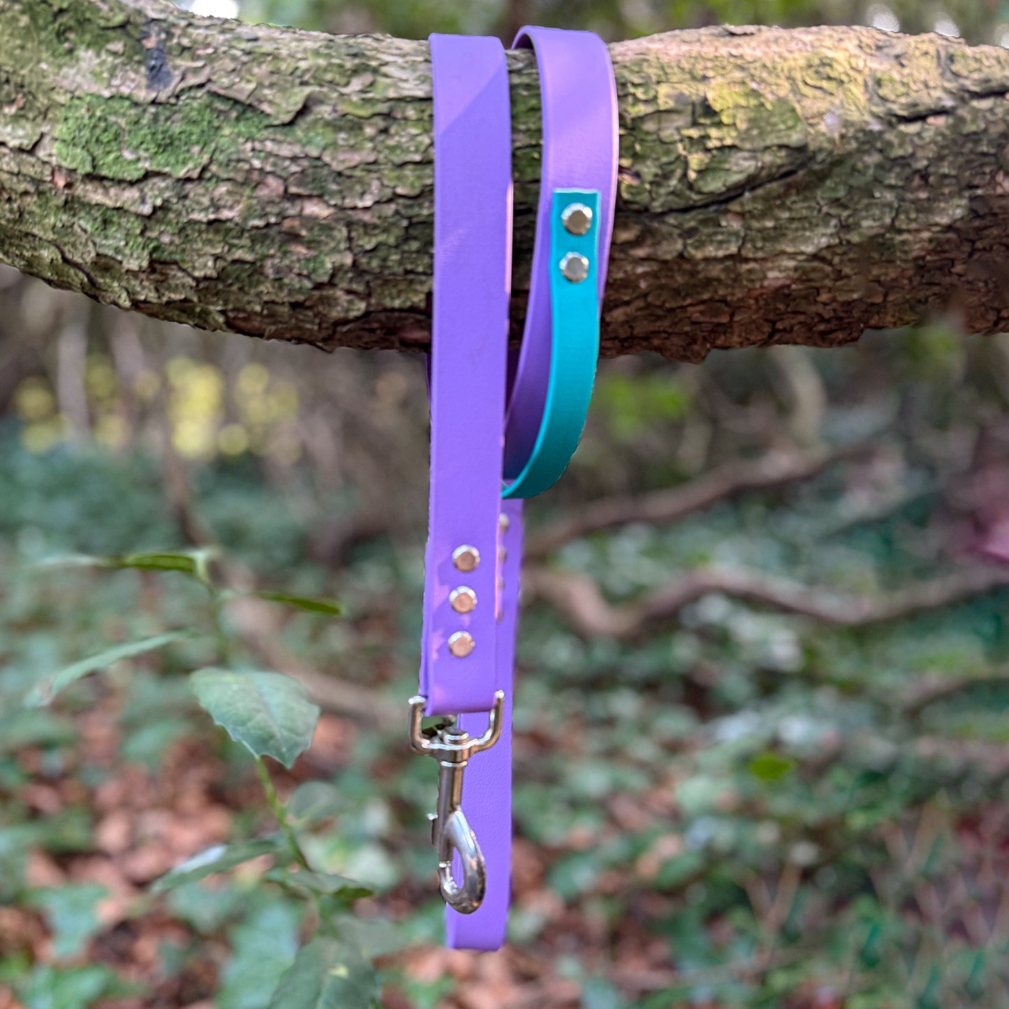 Customisable BioThane Lead 🐶