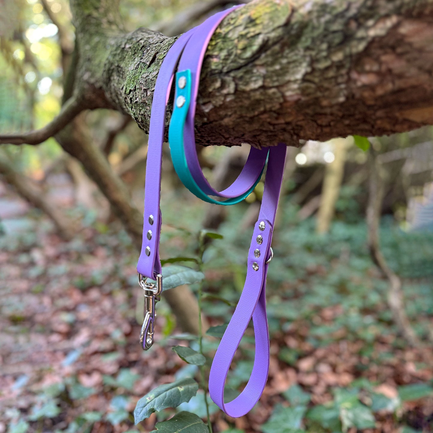 Customisable BioThane Lead 🐶