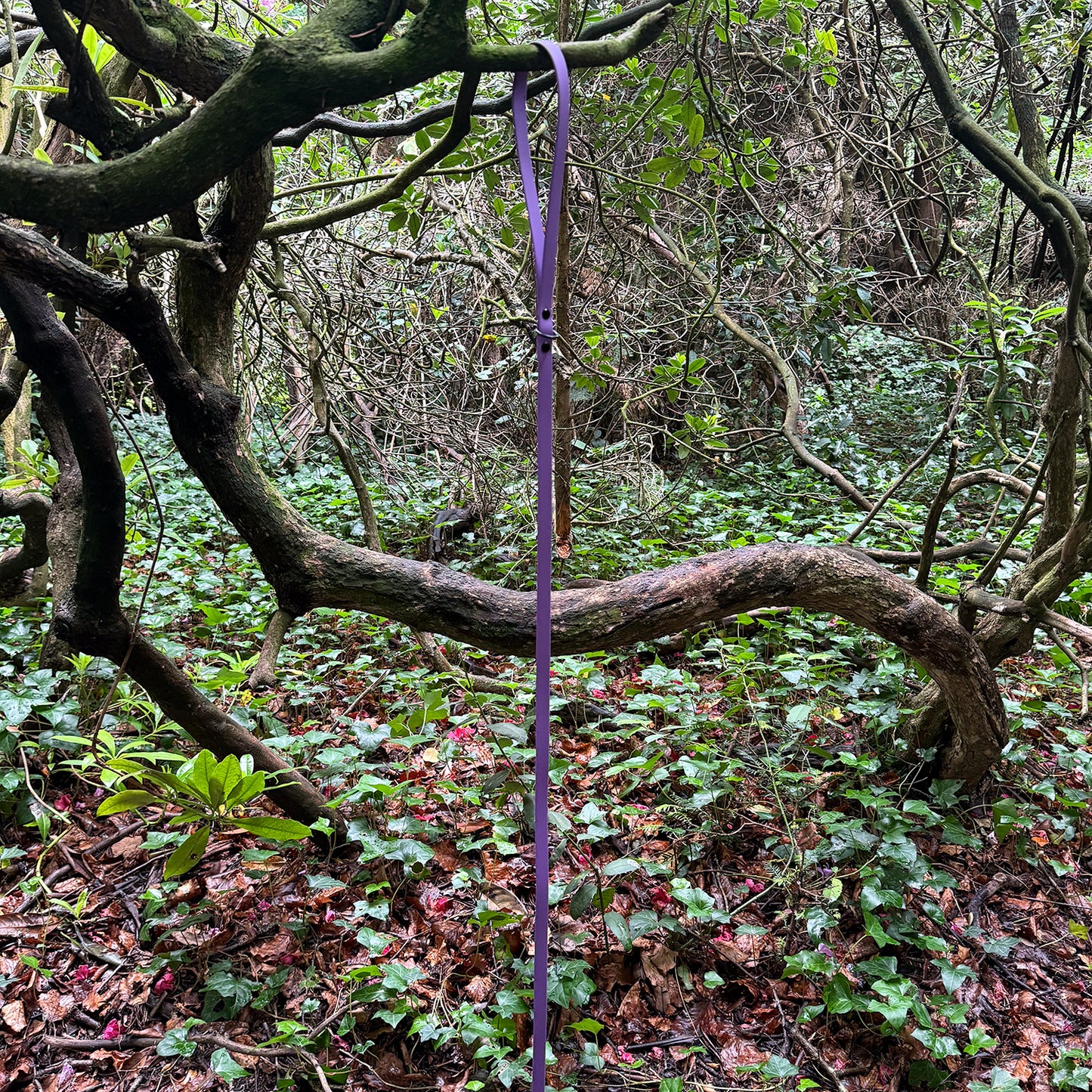 Violet Waterproof Lead