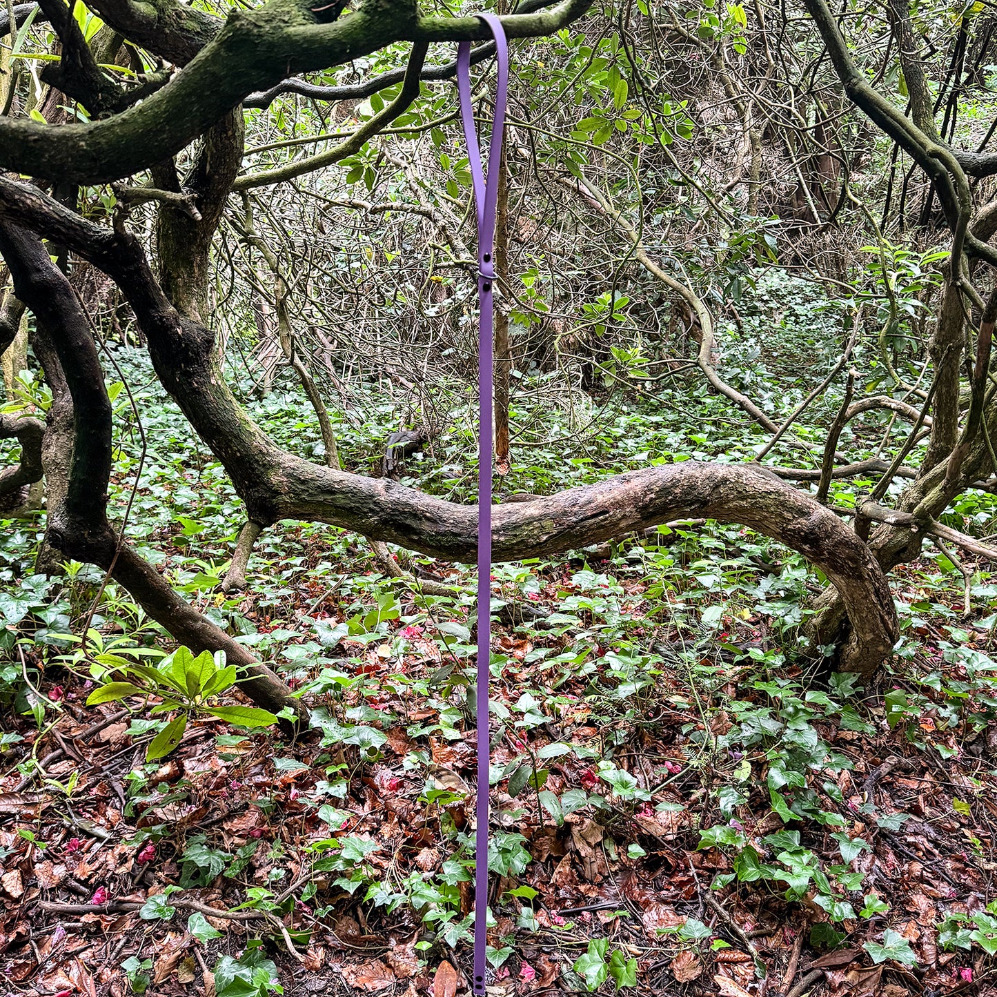 Violet Waterproof Lead