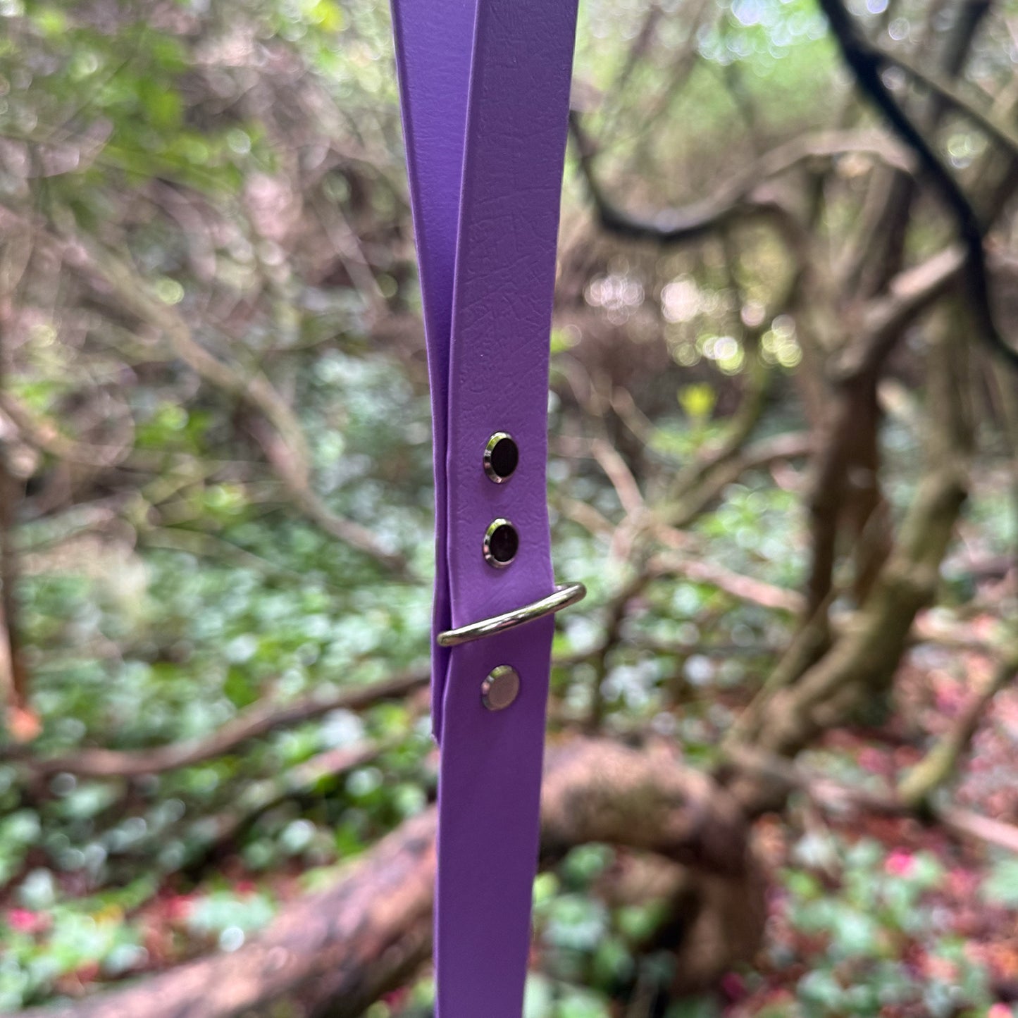 Violet Waterproof Lead