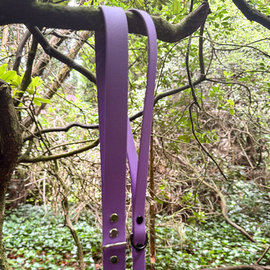 Violet Waterproof Lead