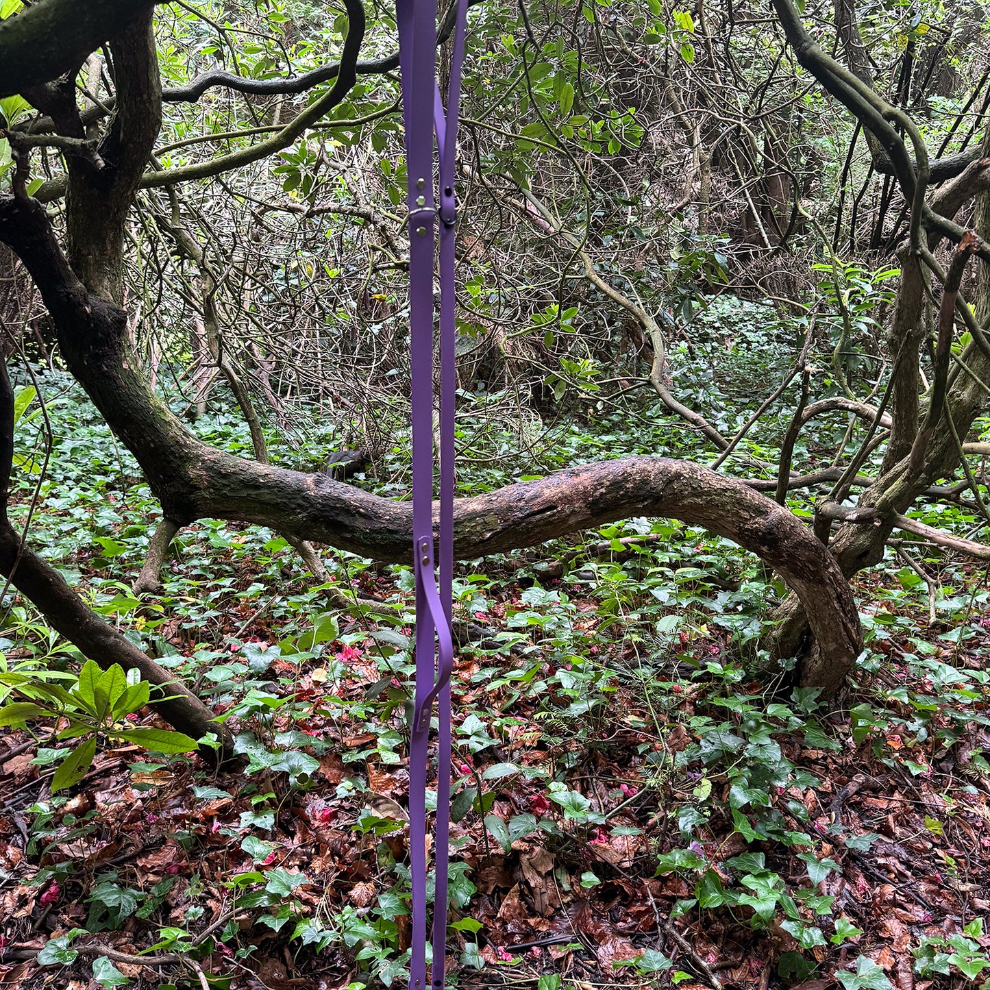 Violet Waterproof Lead