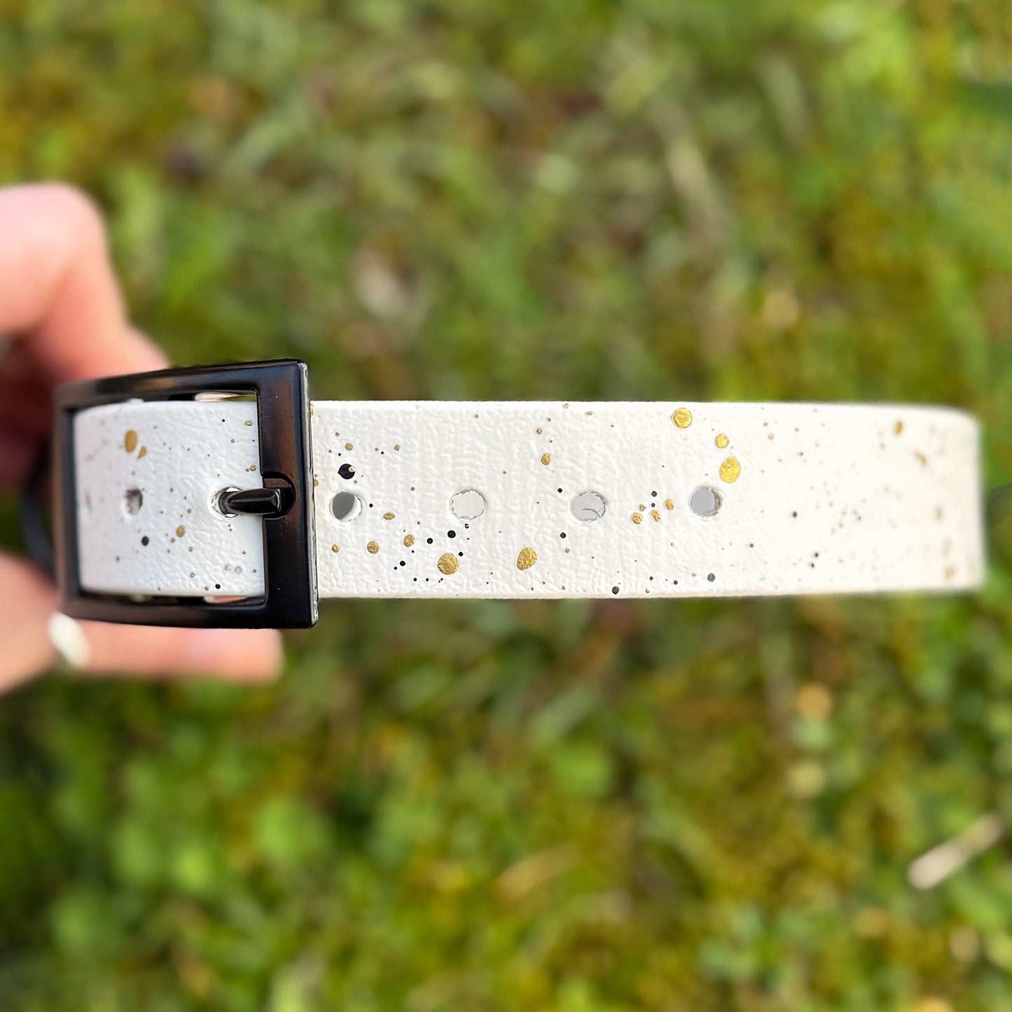 Limited edition Spring Frost Dog Collar β¨π