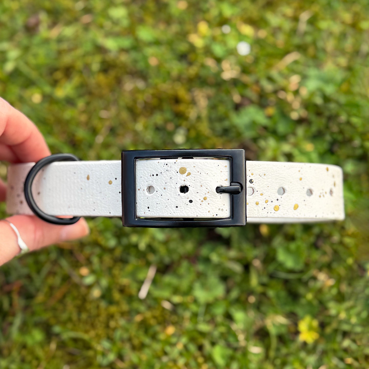 Limited edition Spring Frost Dog Collar β¨π